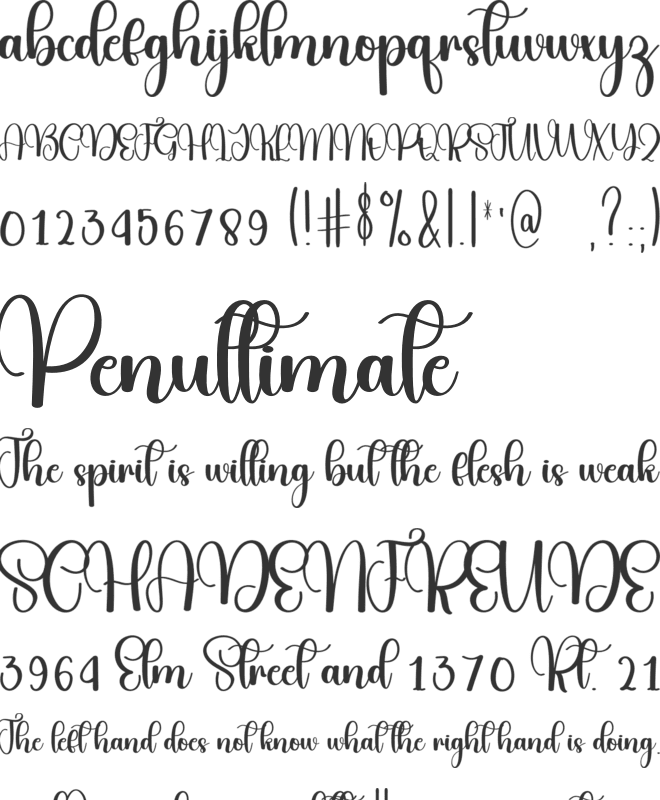 Beauty Morning font preview