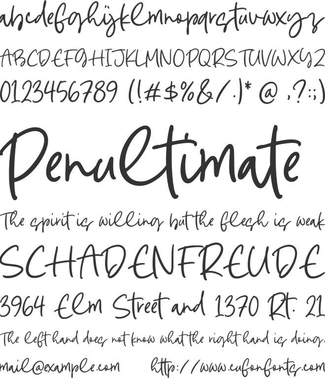 Jacinto Signature font preview
