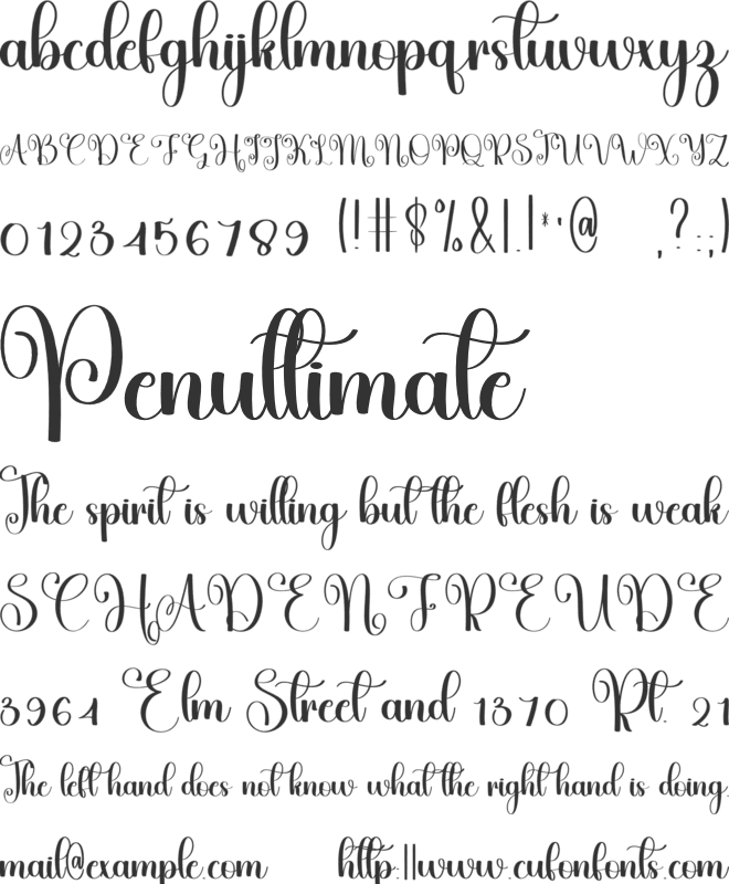 Rustic Charming font preview