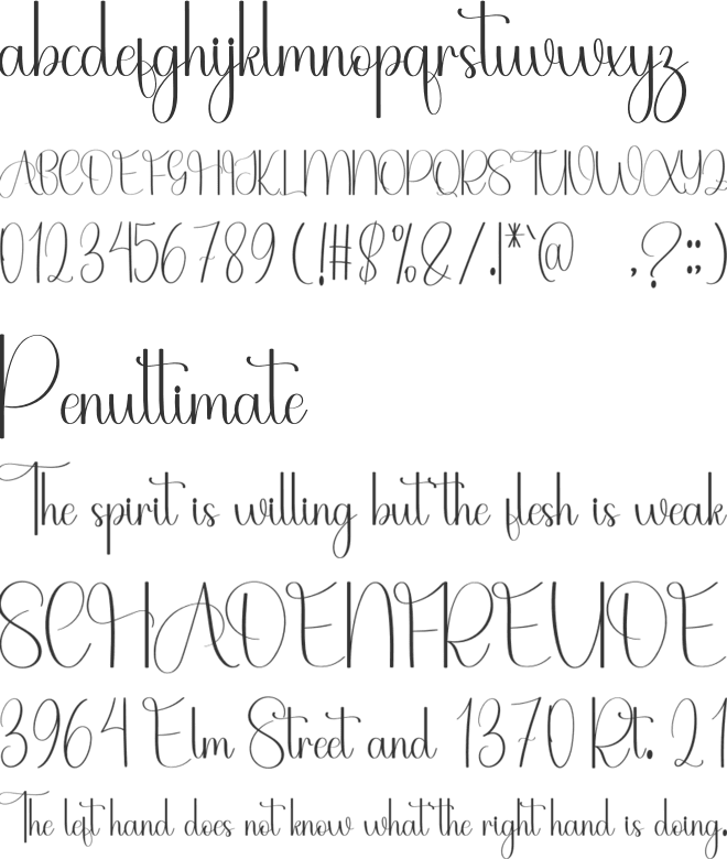 Autoplay font preview