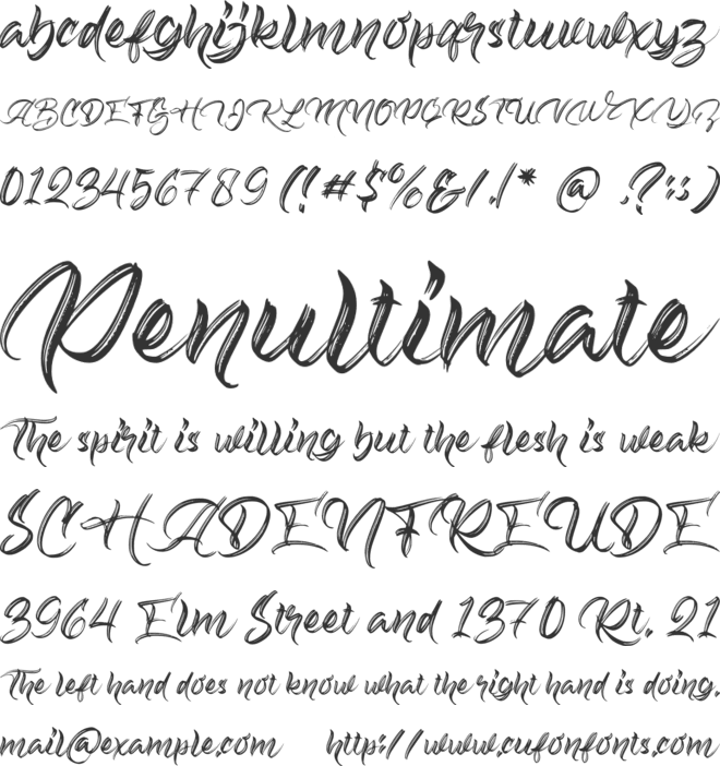 Biograph font preview