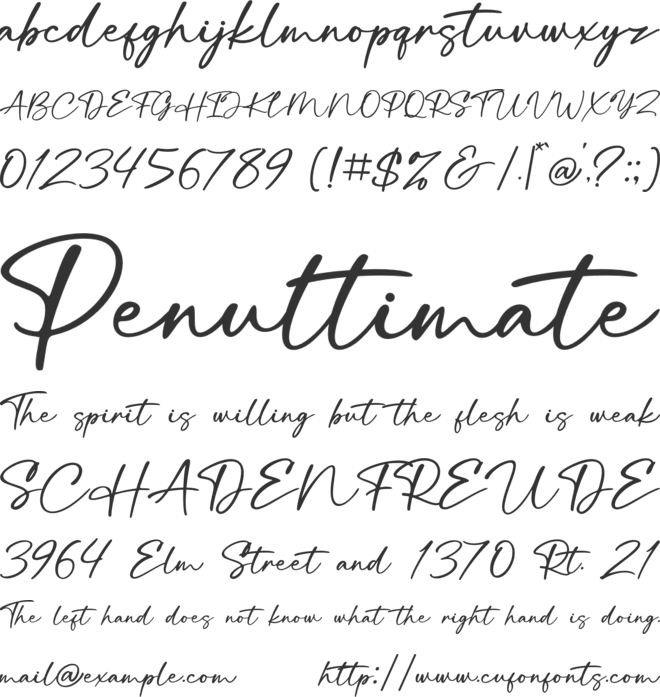 Balistica Signatura font preview