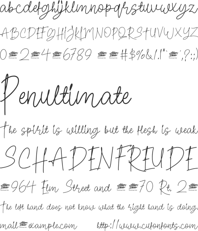 Pilot Signature font preview