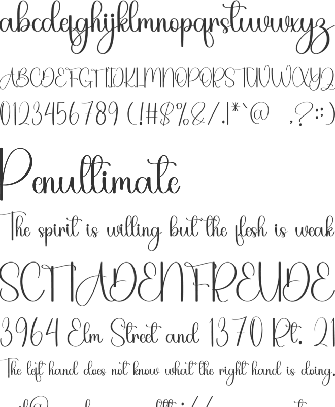 Almight God font preview