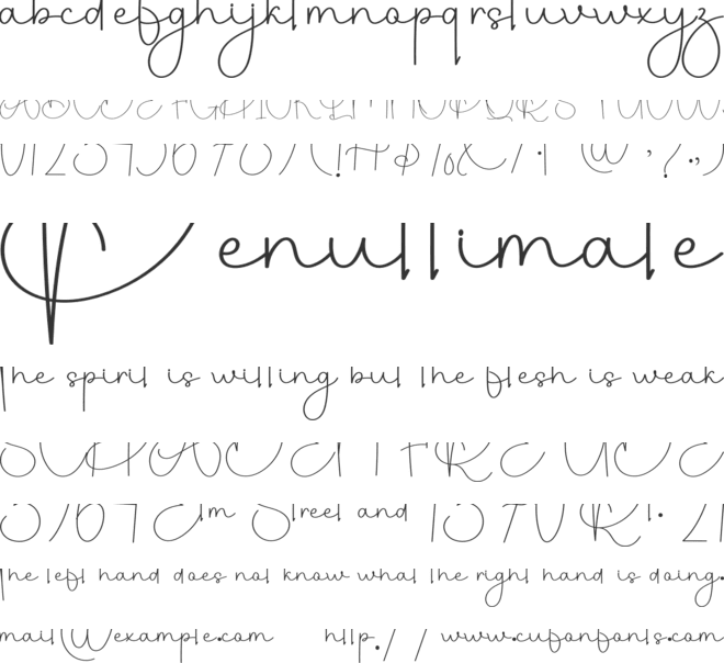 Festifal  Holiday font preview