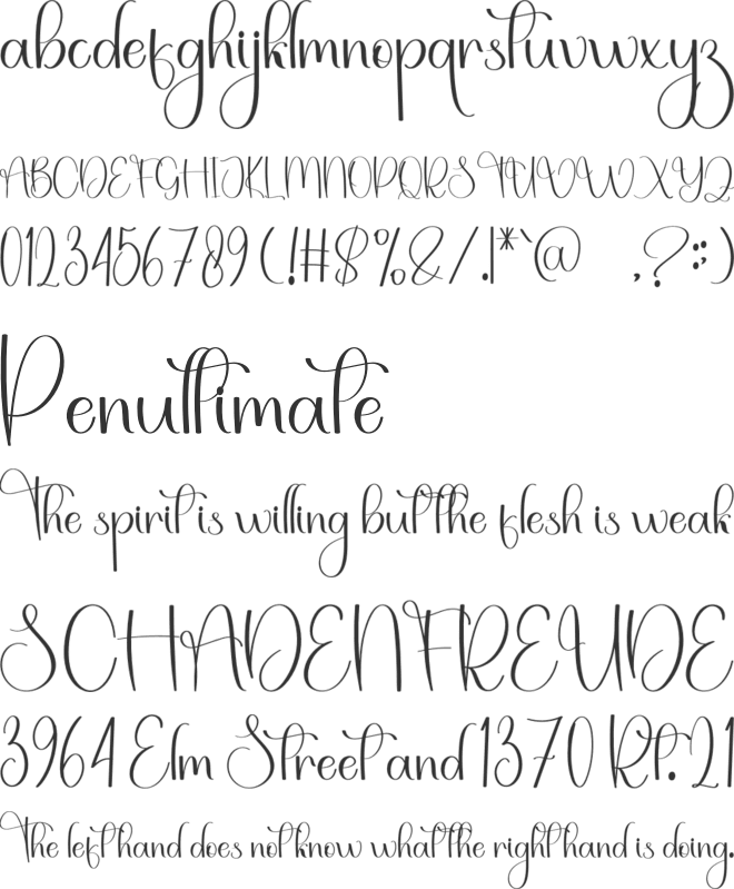 Festifal Valentine font preview