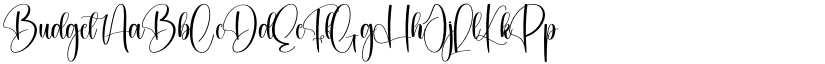 Budget font