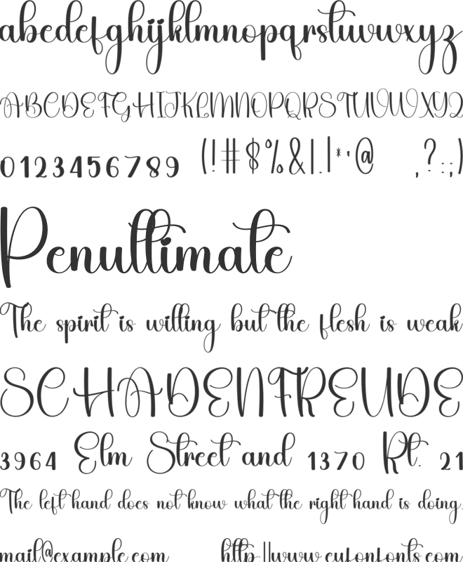 Beauty Autography font preview
