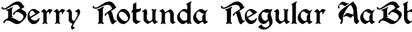 Berry Rotunda Regular font