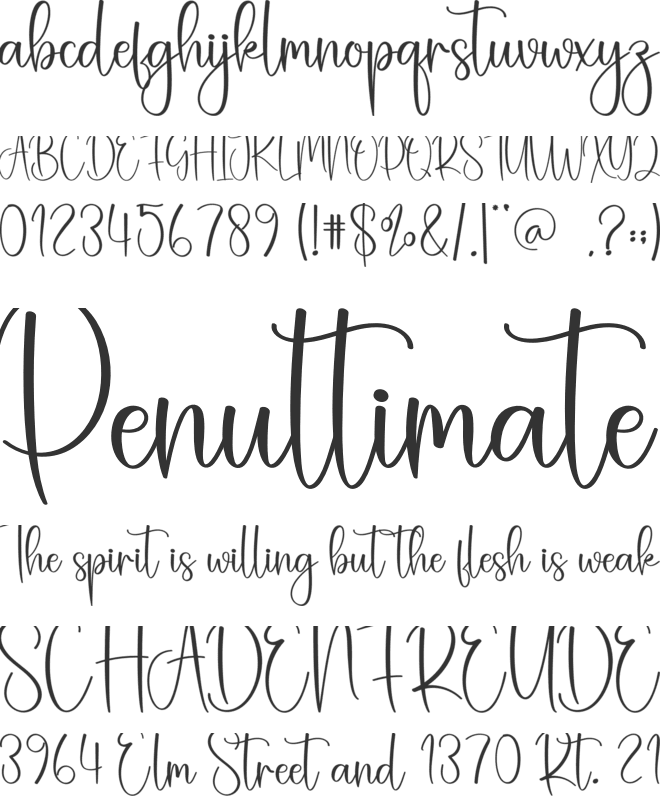 Wednesday font preview