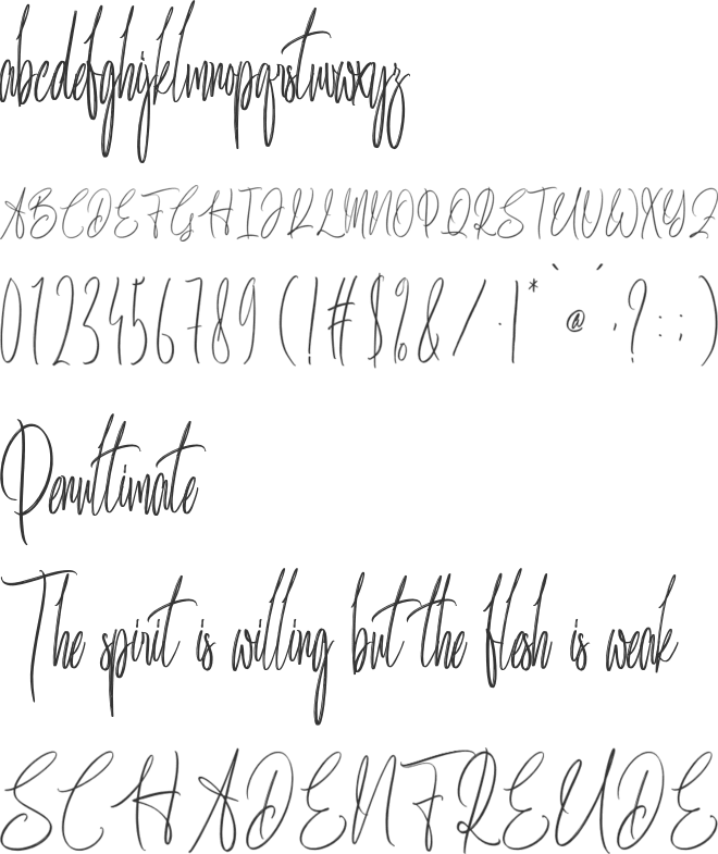 Unequaled Salmunt font preview