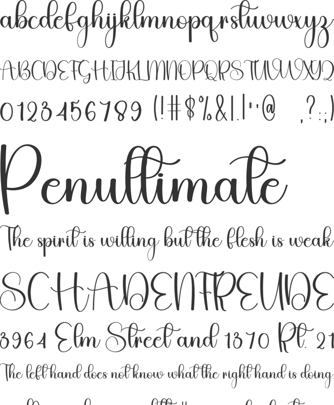 Vintage Flowers font preview