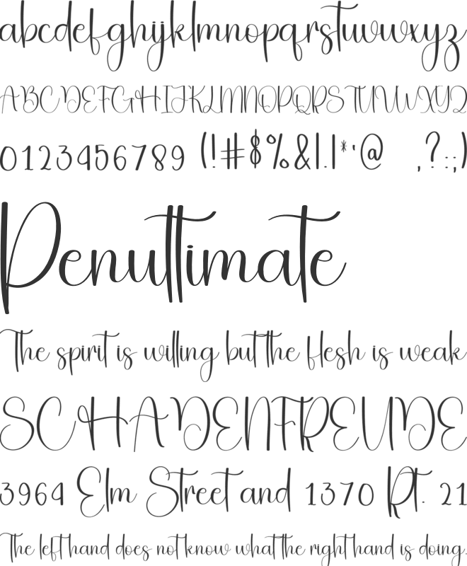 Jungle Vintage font preview