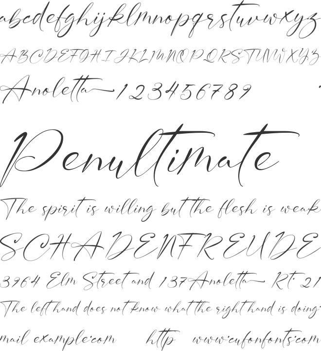 Anoletta font preview