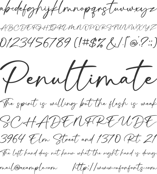 Signatura Onellander font preview