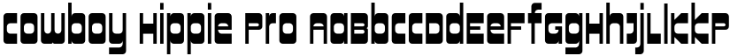 Cowboy Hippie Pro font