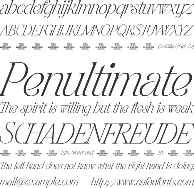 Bellavoir Serif PERSONAL USE font preview