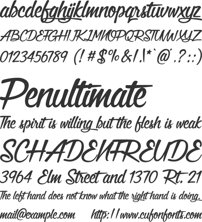 Catleya Signature font preview