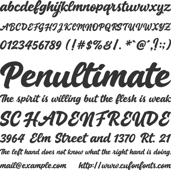 Sealight Whisper font preview