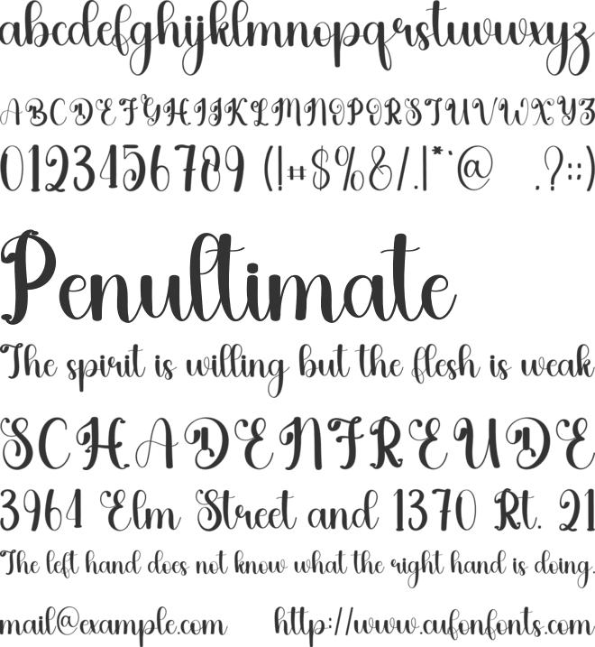 Signature Code font preview