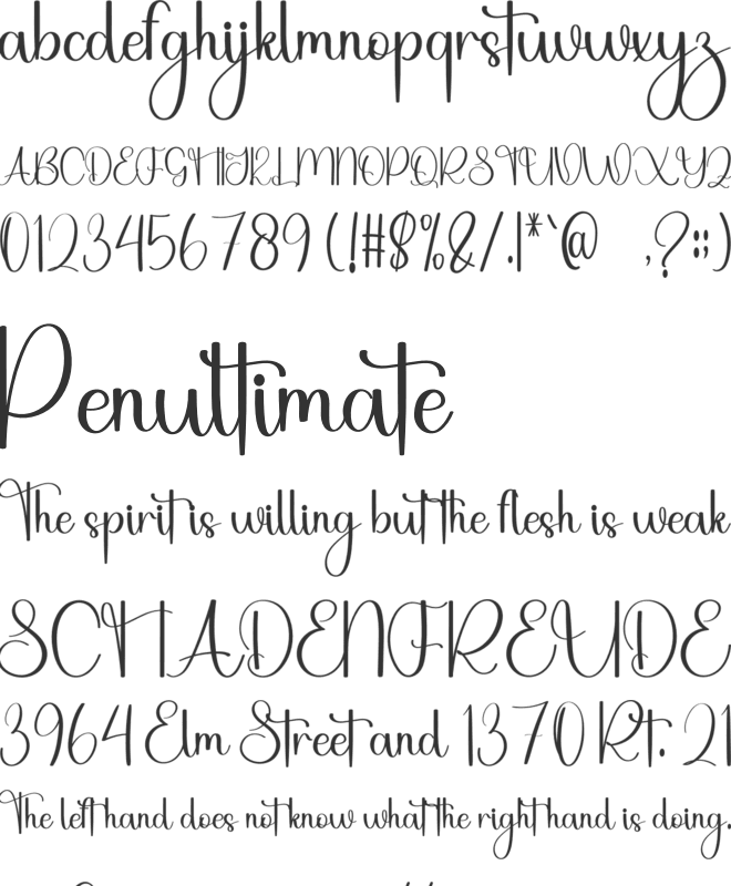 Fun  Holiday font preview