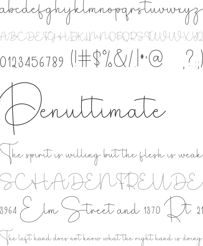 Mandala Signature font preview