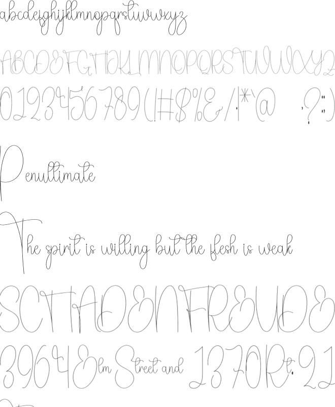 Hollyland Vibes font preview