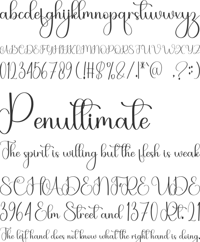 Anonymous Member font preview