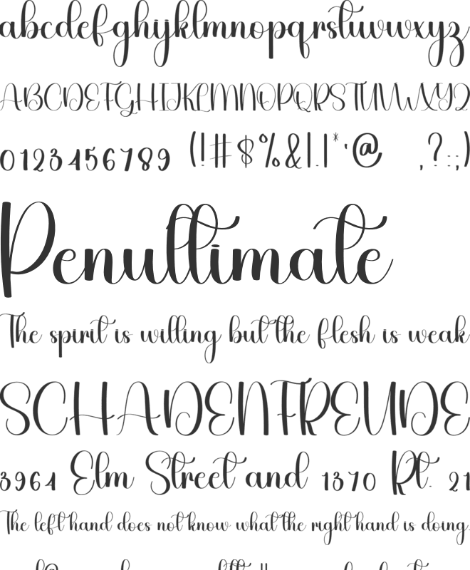 Smart Chubby font preview