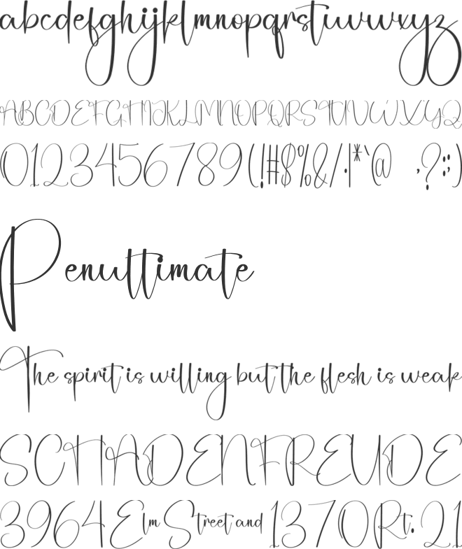 Signature Teacher font preview