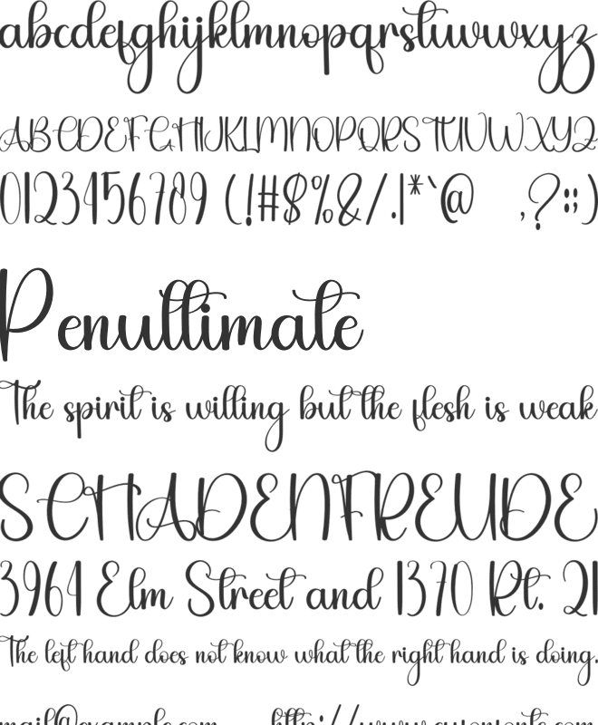 Speeding Ticket font preview