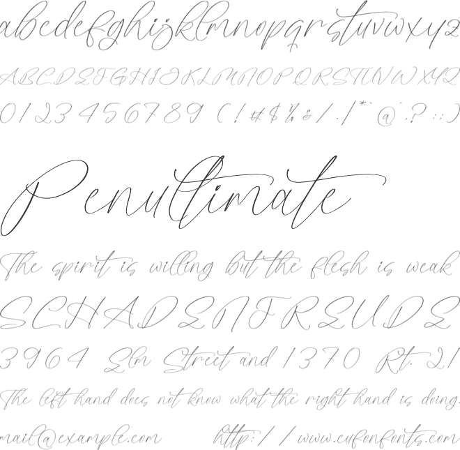 Styelad Initials font preview