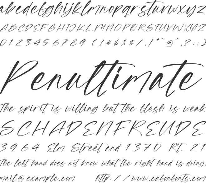 Strokeline Monogram font preview