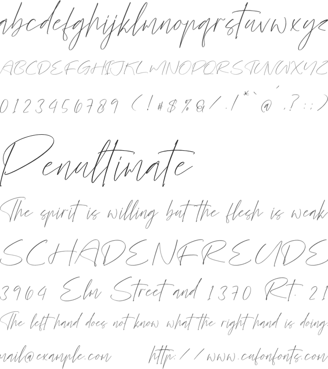 Fashiones font preview