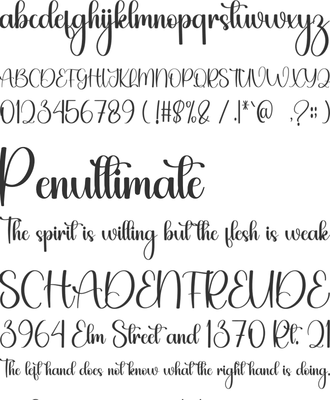 Timeline Work font preview