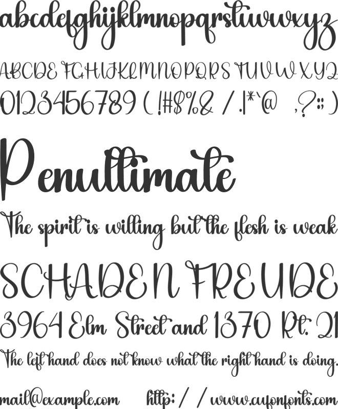 Trending Fashion font preview