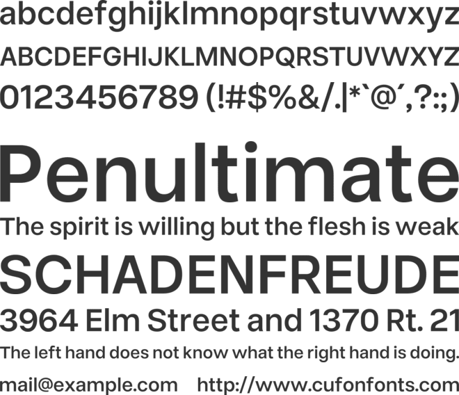 Neutiva font preview