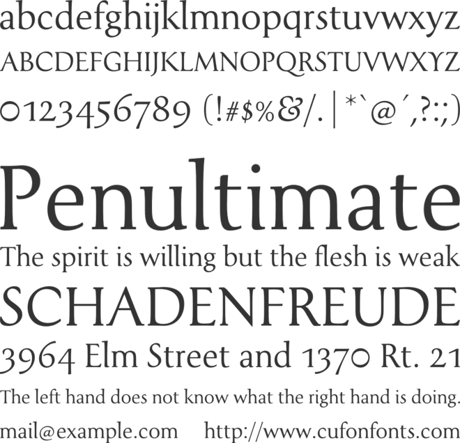 Tenderness font preview