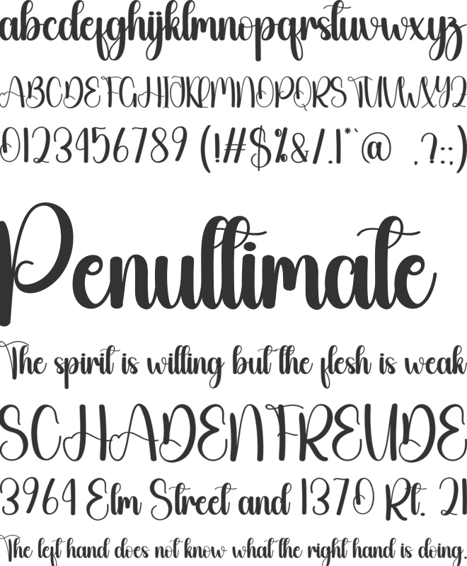 Thingking font preview