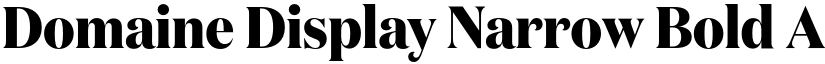 Domaine Display Narrow Bold font