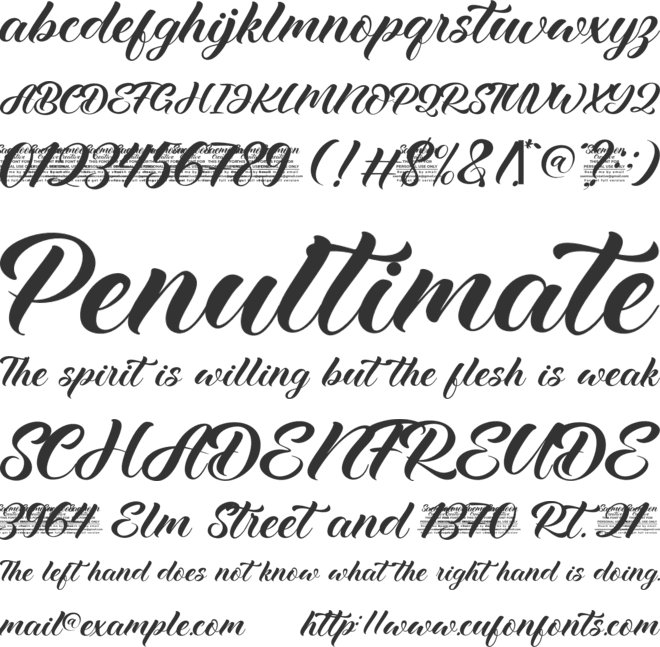 Sc Shinta Personal Use Only font preview