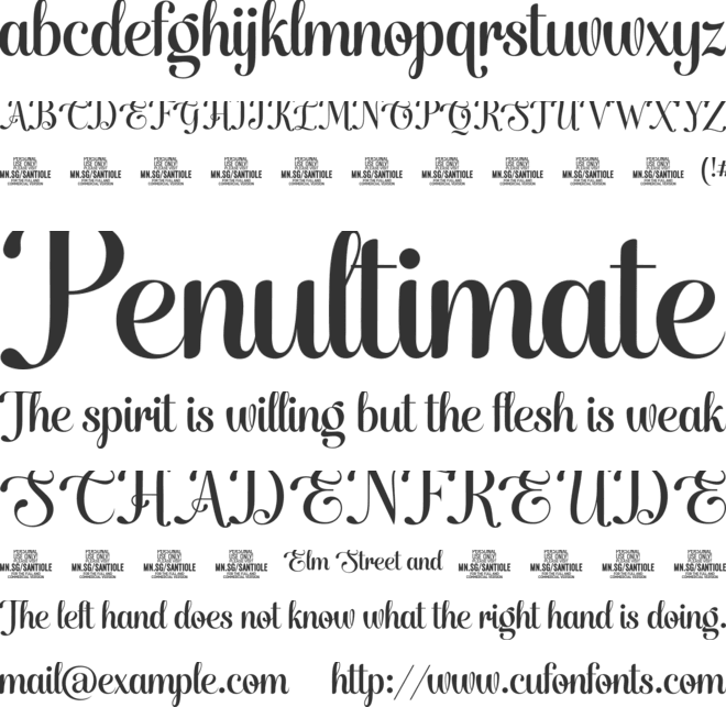 Santiole Script PERSONAL USE font preview