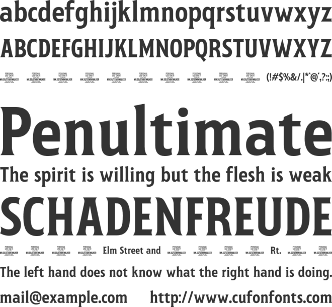 Starkwalker Classic PERSONAL font preview