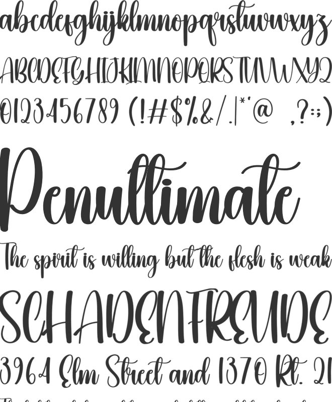Saturday font preview