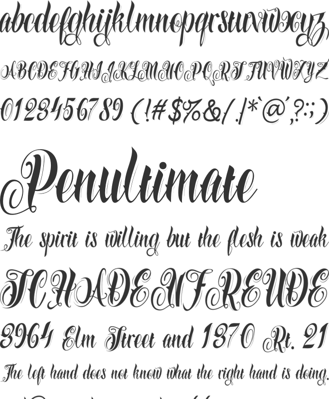 Azkanio Script font preview