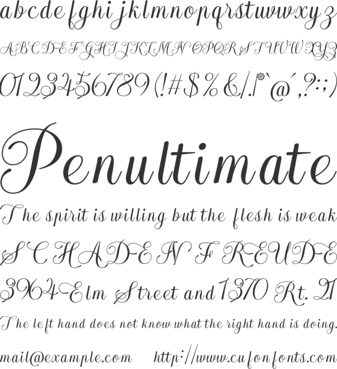 Arachis font preview