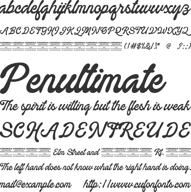 Holistical Personal Use Only font preview