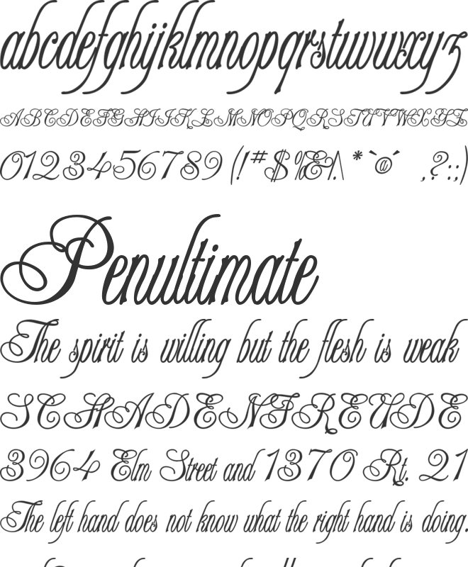 Reepietro font preview