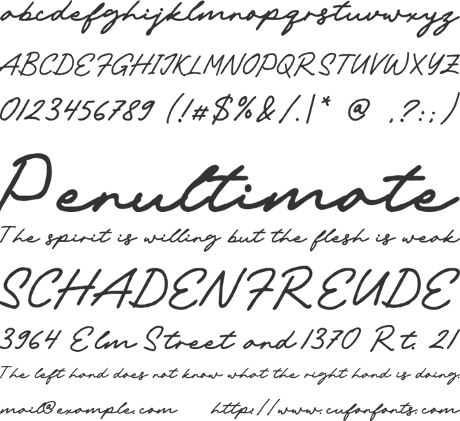 Ravonna Touch font preview