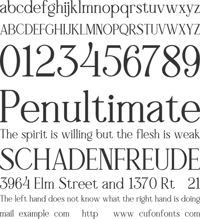 Vigofam font preview